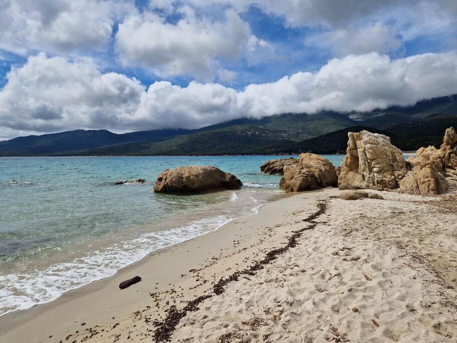 Mini Villa 69 - Piscine Chauffee Serra-di-Ferro Kültér fotó